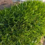 PXL_20251113_084536636.RAW-01.COVER