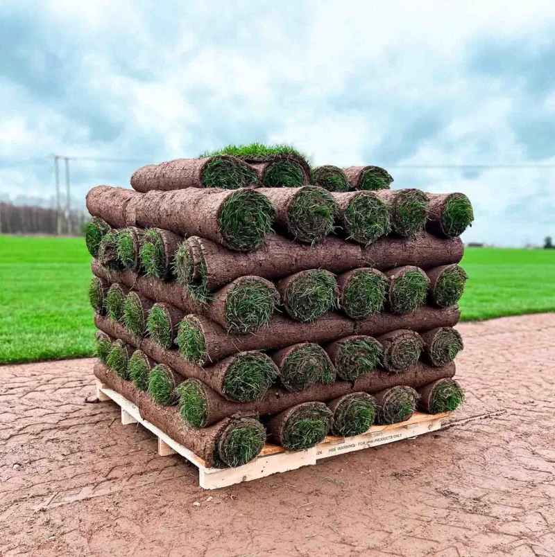 turf-turfworld-turf-roll-buy-turf-field-pallet-of-turf