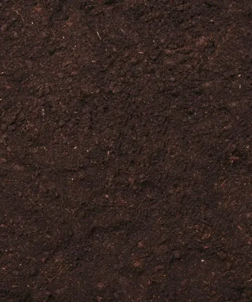 Compost - General Purpose