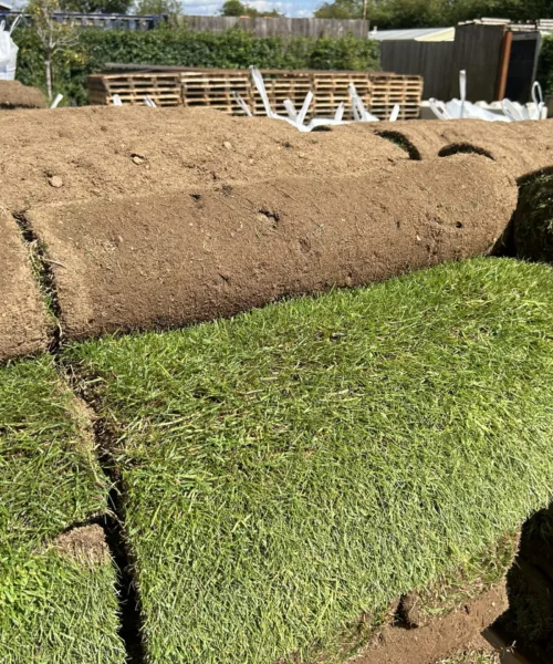 Play Lawn Turf/ Greenscapes Turf