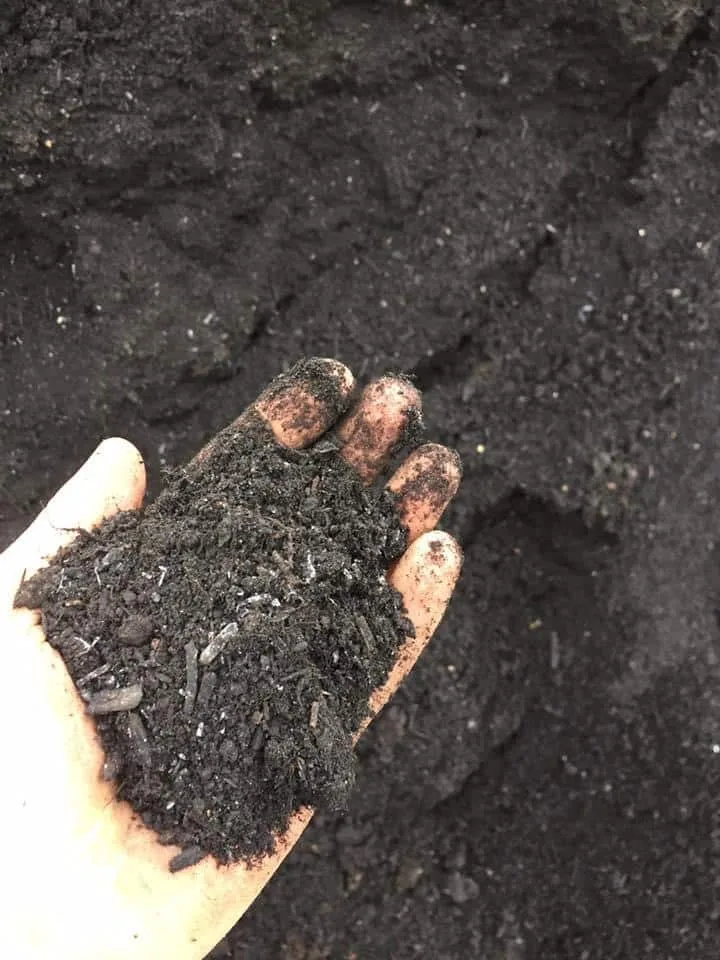 image00004-1 image00004-1