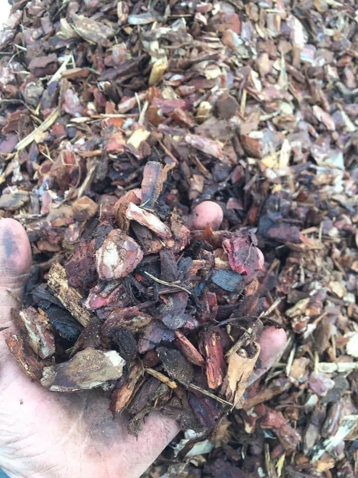 image00009 image00009